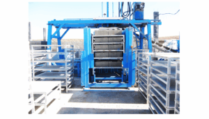 20160924__9916345477